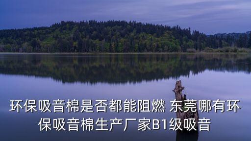 東莞隔音棉加工，環保吸音棉是否都能阻燃 東莞哪有環保吸音棉生產廠家B1級吸音