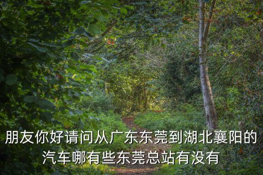 朋友你好請問從廣東東莞到湖北襄陽的汽車哪有些東莞總站有沒有