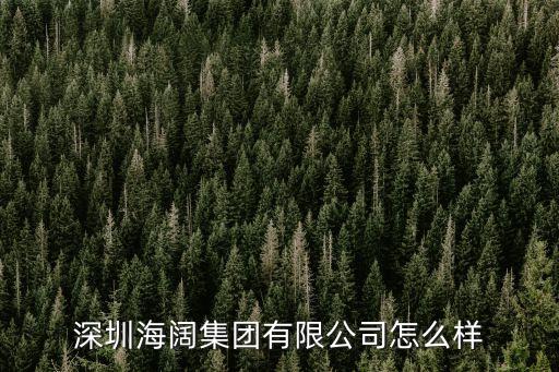 深圳海闊集團有限公司怎么樣