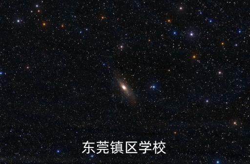 東莞鎮區學校