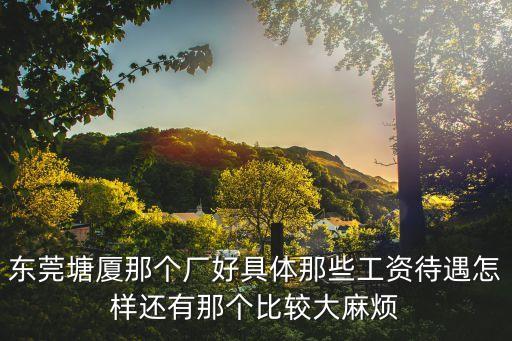 東莞塘廈力達電機現在工資多少，塘廈力達電機廠工資怎么樣