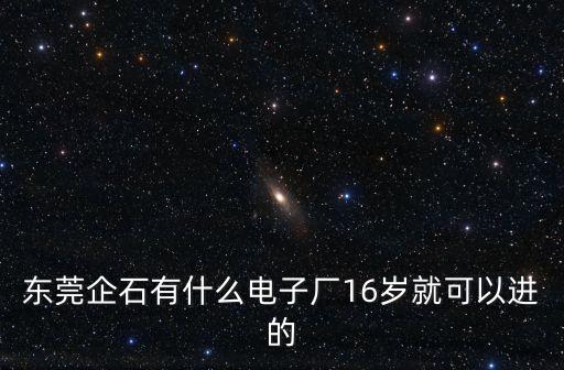 東莞市企石東發電子玩具廠，東莞哪里有玩具廠個電子廠