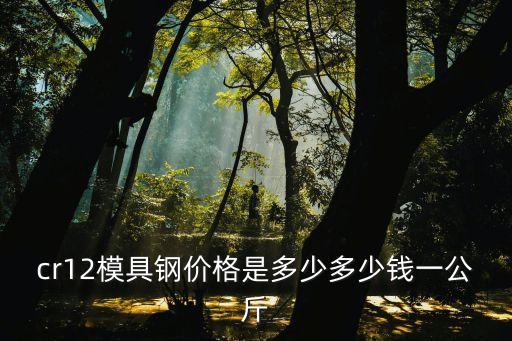 cr12模具鋼價格是多少多少錢一公斤