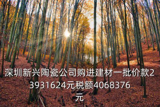 深圳新興陶瓷公司購進建材一批價款23931624元稅額4068376元