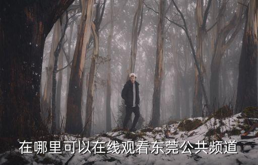 東莞大眾在線直播，在哪里可以在線觀看東莞公共頻道