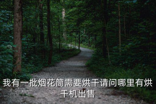 我有一批煙花筒需要烘干請問哪里有烘干機出售