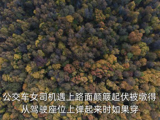 東莞女司機(jī)攔路，因轎車發(fā)生故障女司機(jī)高速上攔車求助被撞飛