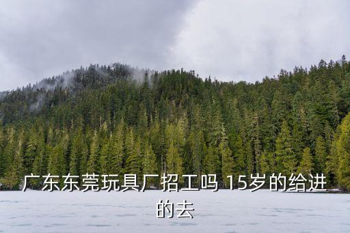 東莞石排強聯玩具廠，廣東東莞玩具廠招工嗎 15歲的給進的去