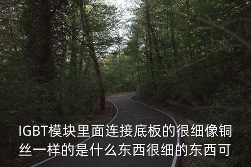 IGBT模塊里面連接底板的很細(xì)像銅絲一樣的是什么東西很細(xì)的東西可