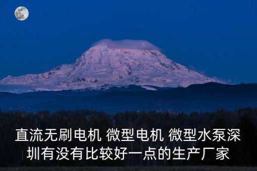 直流無刷電機 微型電機 微型水泵深圳有沒有比較好一點的生產廠家