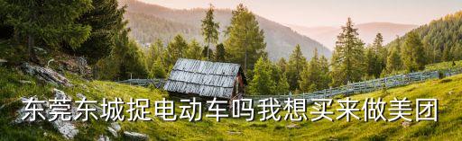 東莞東城捉電動車嗎我想買來做美團