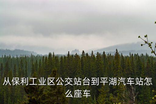 從保利工業區公交站臺到平湖汽車站怎么座車