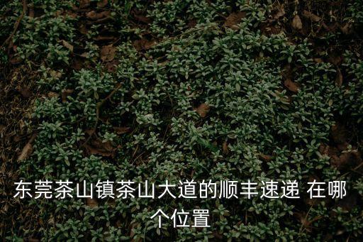東莞茶山鎮(zhèn)茶山大道的順豐速遞 在哪個(gè)位置