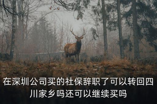 在深圳公司買的社保辭職了可以轉(zhuǎn)回四川家鄉(xiāng)嗎還可以繼續(xù)買嗎