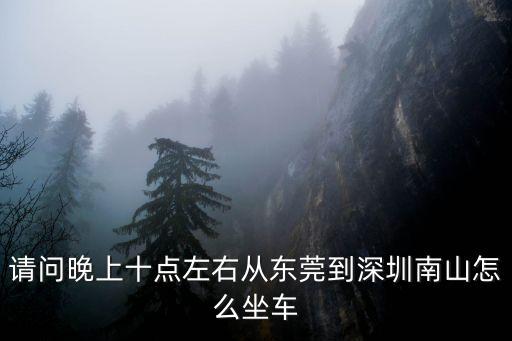 請問晚上十點左右從東莞到深圳南山怎么坐車