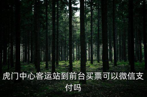 虎門中心客運站到前臺買票可以微信支付嗎