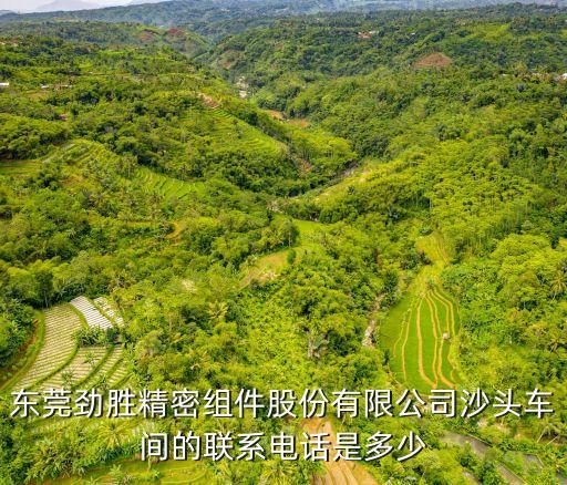 東莞勁勝精密組件股份有限公司沙頭車間的聯系電話是多少