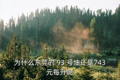 為什么東莞的 93 號(hào)油還是743元每升呢