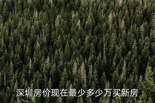 深圳房價現在最少多少萬買新房