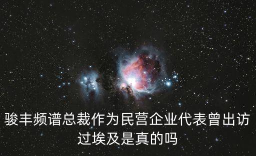 駿豐頻譜總裁作為民營企業(yè)代表曾出訪過埃及是真的嗎