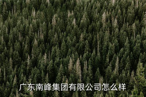 廣東南峰集團有限公司怎么樣