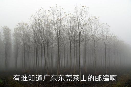 有誰知道廣東東莞茶山的郵編啊