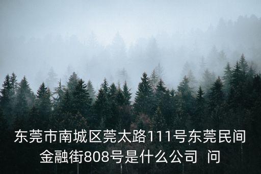 東莞市南城區莞太路111號東莞民間金融街808號是什么公司  問