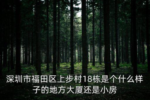 深圳市福田區上步村18棟是個什么樣子的地方大廈還是小房