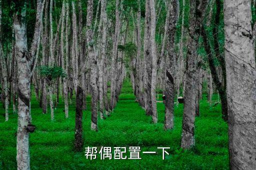 東莞兆高集團，電腦配置價位