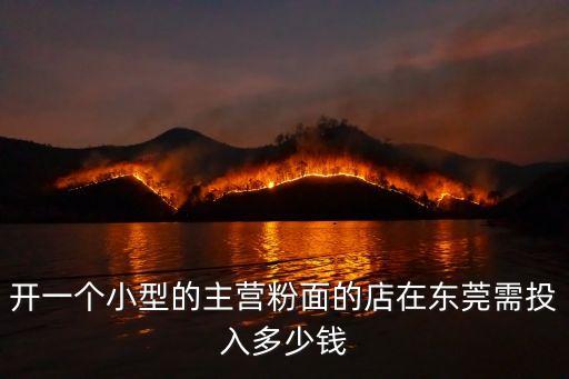開一個小型的主營粉面的店在東莞需投入多少錢