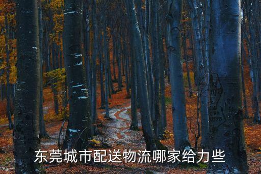 在東莞做同城配送哪個好，東莞城市配送物流哪家給力些