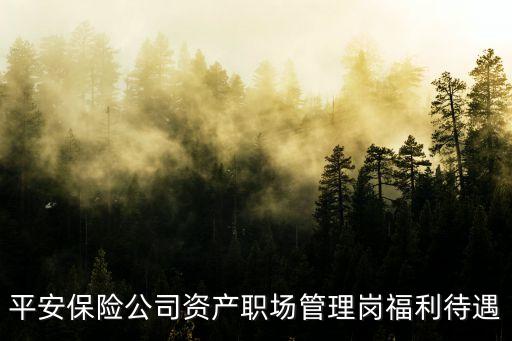 平安保險公司資產職場管理崗福利待遇