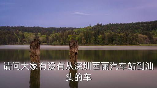 請問大家有沒有從深圳西麗汽車站到汕頭的車
