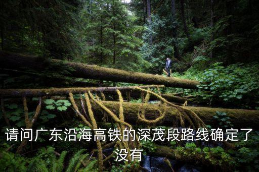 深茂鐵路可以從深圳到廣東粵西嗎，深茂高鐵入廣州嗎