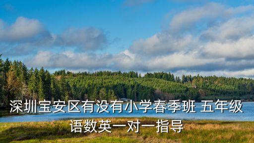 深圳寶安區(qū)有沒有小學(xué)春季班 五年級(jí)語(yǔ)數(shù)英一對(duì)一指導(dǎo)