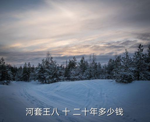 深圳福田河套土地多少錢，河套王八 十 二十年多少錢