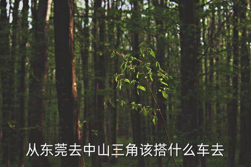 東莞到中山三角鎮得意廠怎么坐車，從東莞去中山三角該搭什么車去