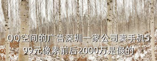QQ空間的廣告深圳一家公司賣手機599元像素前后2000萬是假的