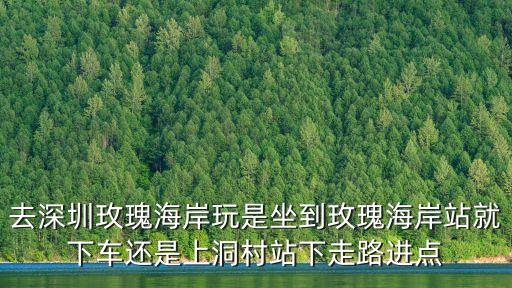 去深圳玫瑰海岸玩是坐到玫瑰海岸站就下車還是上洞村站下走路進點
