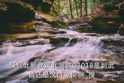 深圳北到武漢北高鐵G1018是到武昌還是漢口急需啊  搜