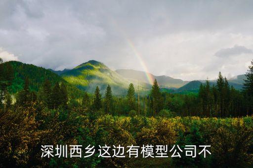 深圳西鄉(xiāng)這邊有模型公司不