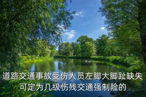 道路交通事故受傷人員左腳大腳趾缺失可定為幾級傷殘交通強制險的