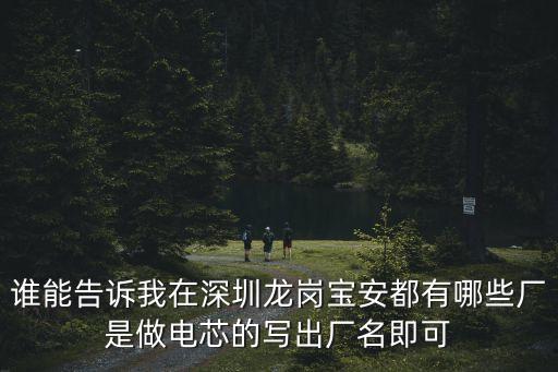 深圳龍崗寶安坤興，深圳市龍崗區南灣街道辦布瀾路是不是有個日塑工業城日資電子廠