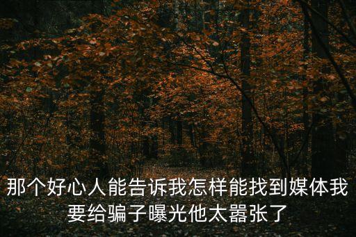 那個(gè)好心人能告訴我怎樣能找到媒體我要給騙子曝光他太囂張了