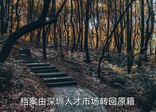 檔案由深圳人才市場轉(zhuǎn)回原籍