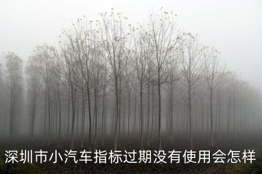 深圳市小汽車指標過期沒有使用會怎樣
