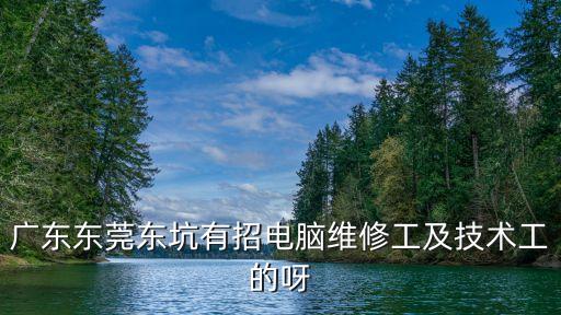廣東東莞東坑有招電腦維修工及技術工的呀