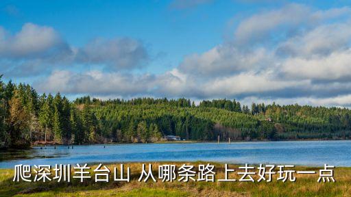 爬深圳羊臺山 從哪條路上去好玩一點