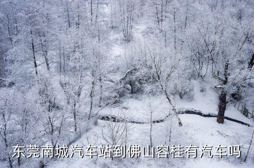東莞南城汽車站到佛山容桂有汽車嗎