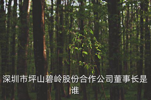 深圳市馬曉軍，深圳市寶安區(qū)25區(qū)裕安二路華豐商務(wù)大廈B座有叫 深圳市長田環(huán)保有